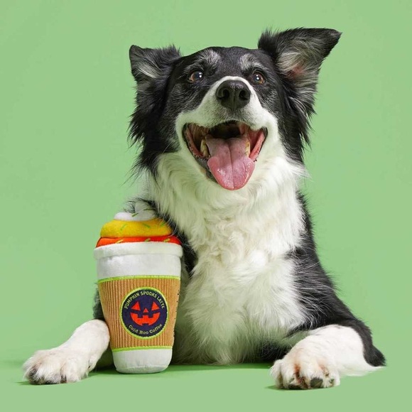 NEW Bark Cold Boo Latte Toy - Picture 2 of 6